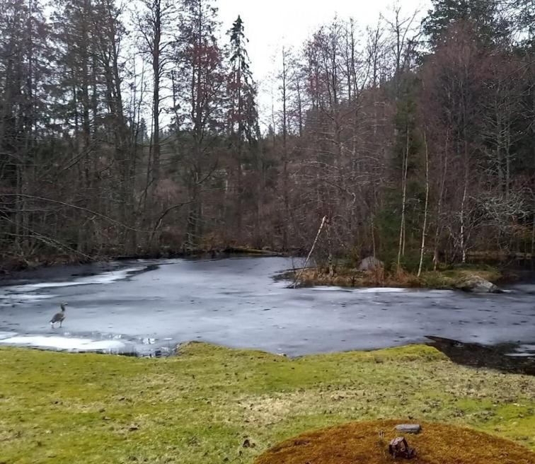 Gaeststuga I Vacker Natur, Bastu, Bubbelpool Sommartid Och Gratis Parkering Naera Ulricehamn Och Lassalyckan, Guesthouse With Nice View With Sauna And Free Parking Close To Dalsjoefors And Fishing Borås Exterior foto